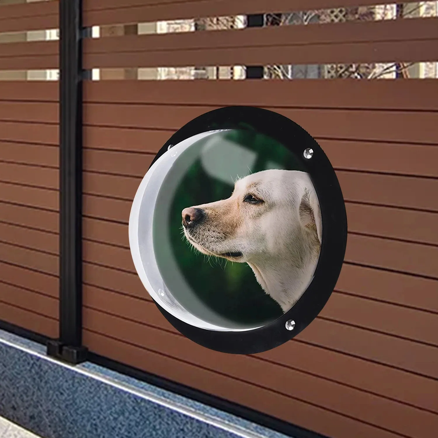 Dog Window For Fence Porthole Window Pet Acrylic Dome Dog Fence Peek Window Pet Supply Clear View Dome Pet Peek