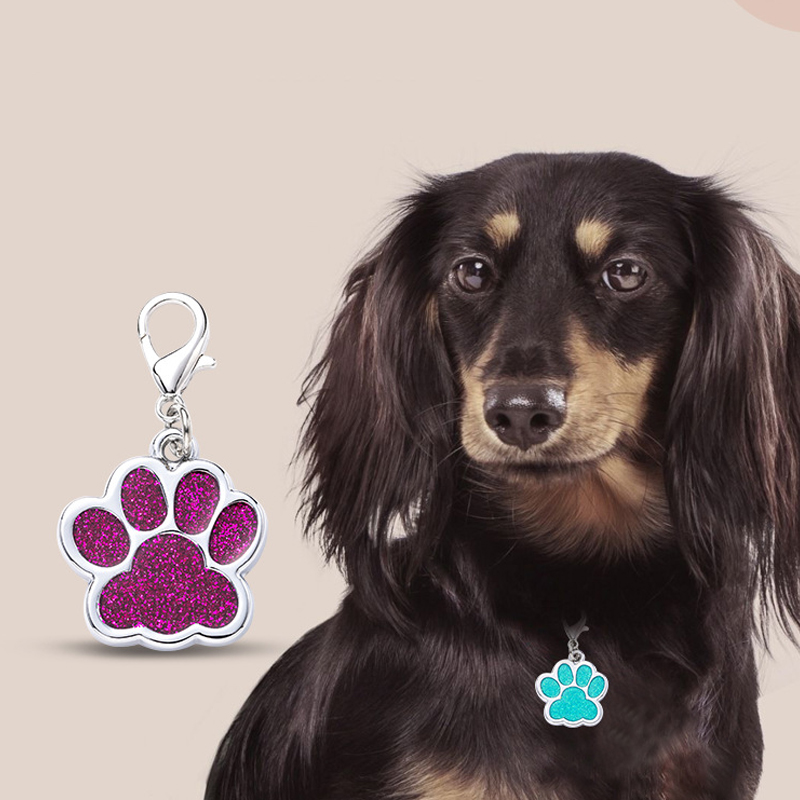 Metal Zinc Alloy Identity Cards Glitter Powder Feet Anti Loss Tags Cat And Dog Pendants Necklaces Decorative Pet Supplies YLE547