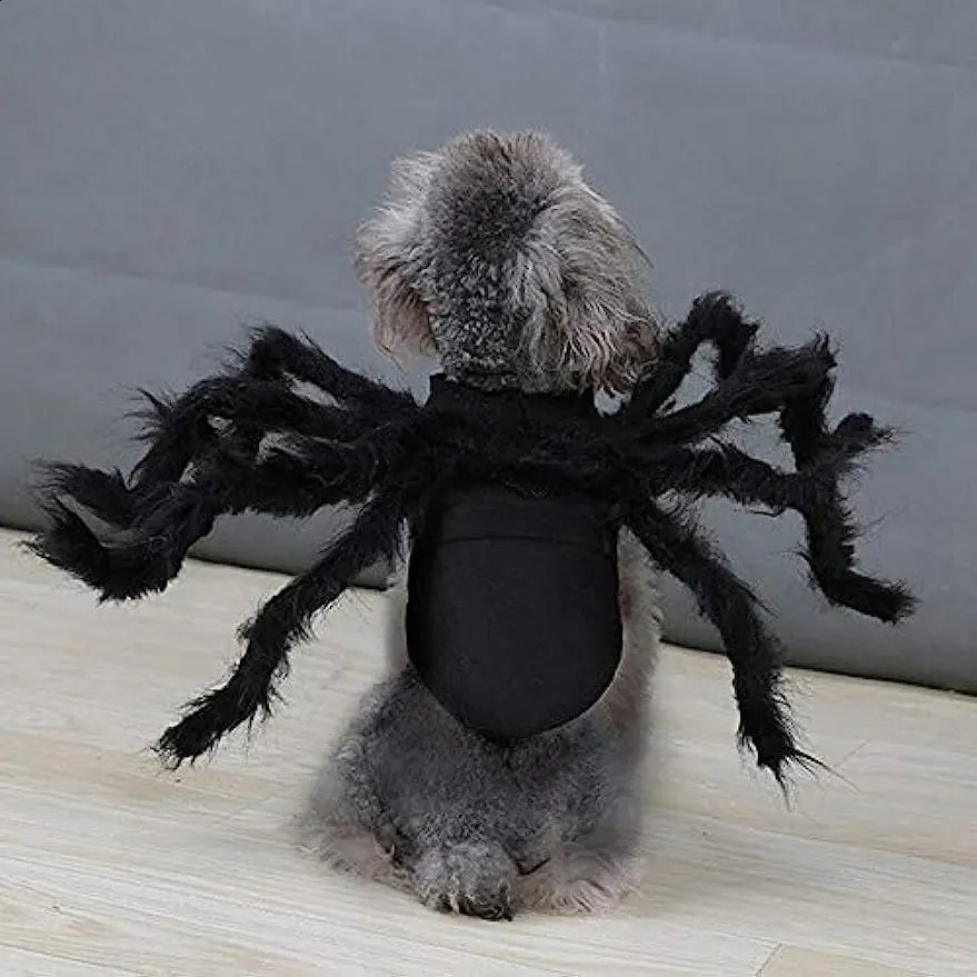 Dog Cat Spider Costume for Halloween Party Decoration Halloween Cosplay Costumes for Puppy Cat Dress Up Accessories 241225