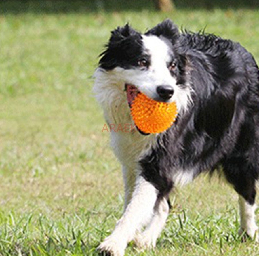 1PCS Toy ball squeaking dog ball TPR sound grinding training pointed prick pet ball cat dog toy training ball