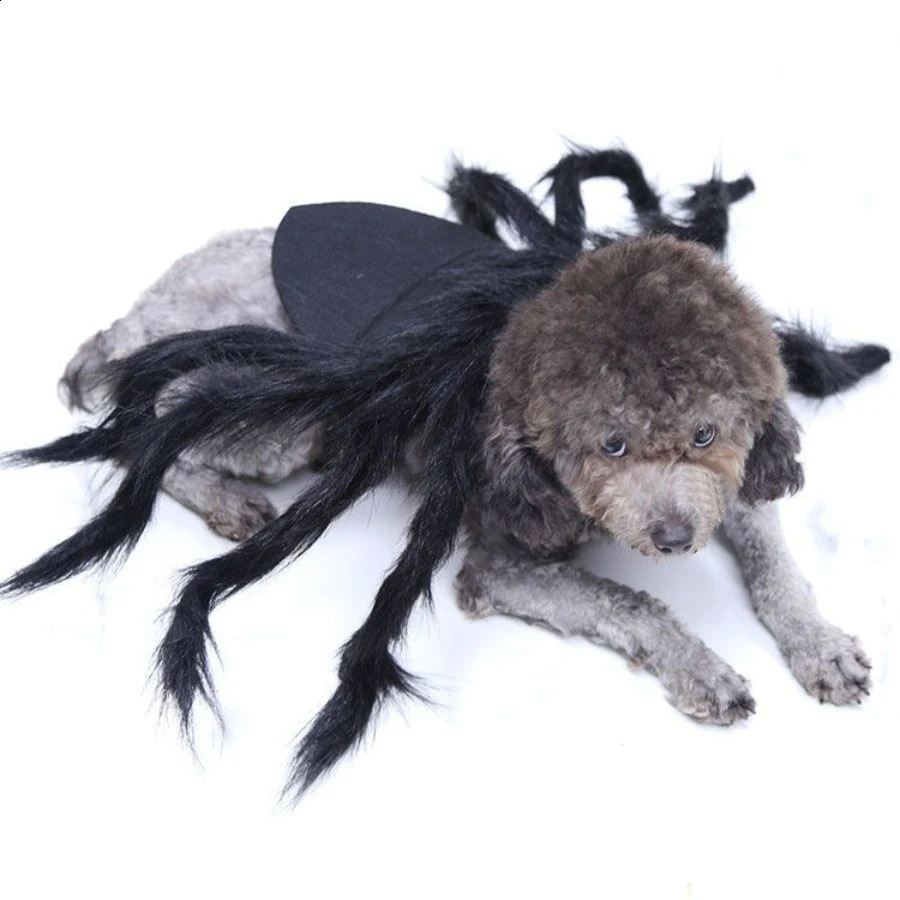 Halloween Spider Wings Dogs Cats Clothes Funny Medium and Large Dogs Cat Pet Clothes Decoration for Halloween Easter 241225