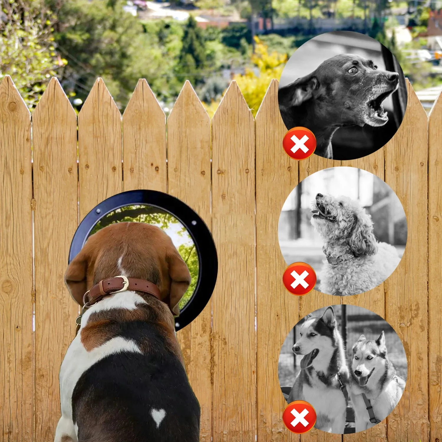 Dog Window For Fence Porthole Window Pet Acrylic Dome Dog Fence Peek Window Pet Supply Clear View Dome Pet Peek