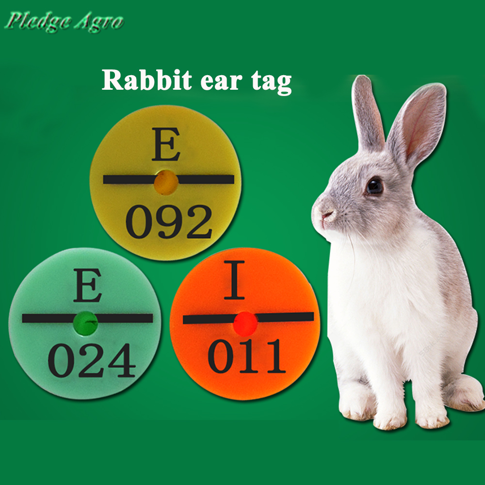 100PCS Rabbit Ear Tags Animal Identification Management Tag Plastic Number For Bunny Farm Pet Rabbits Farming Tool Hamster Rabit