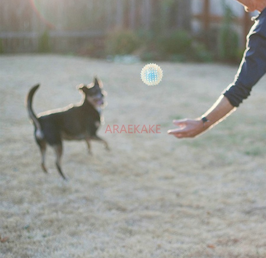 Pet Supplies Teeth Grinding Dog Toy TPE Anti Bite Interactive Training Anti Bite Dog Bite Play Flash Elastic Ball