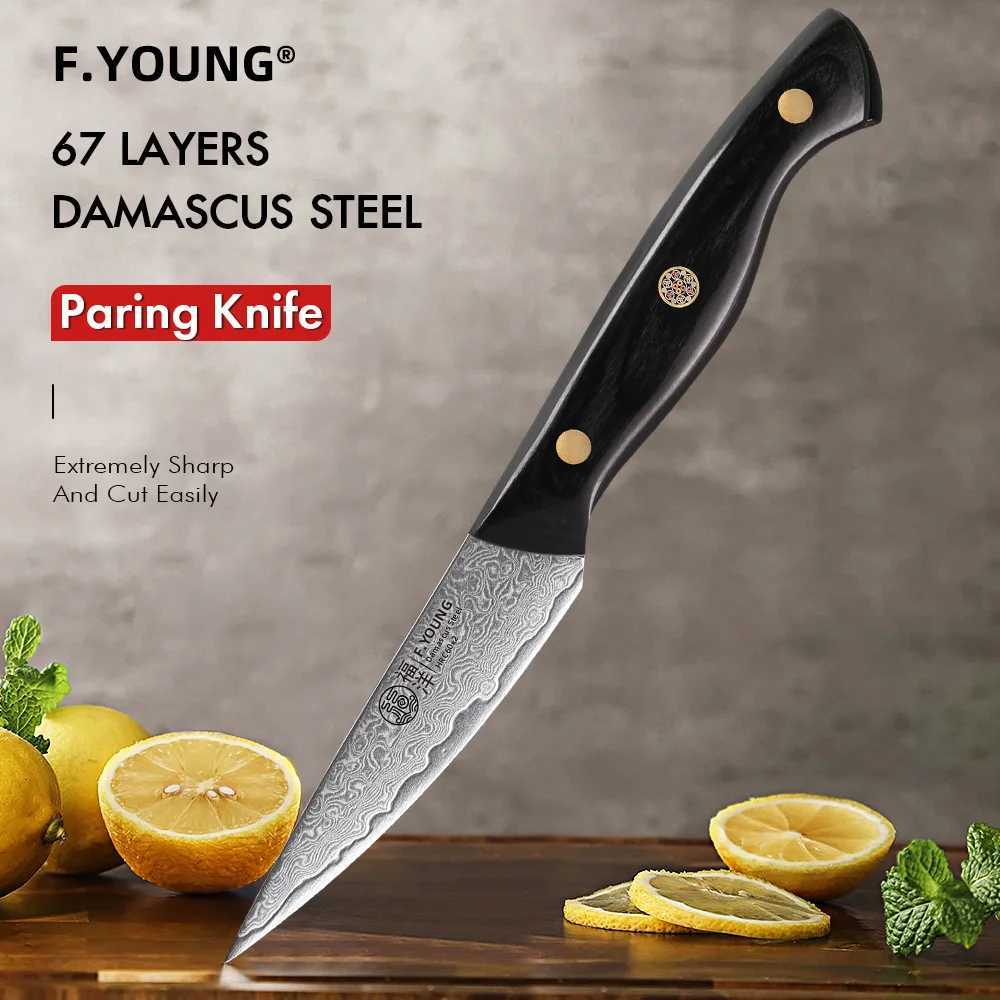 F. Young 3.5-inch Parisian knife professional Japanese 67 layer Damascus steel kitchen knife super sharp peeling fruit knife Y241227