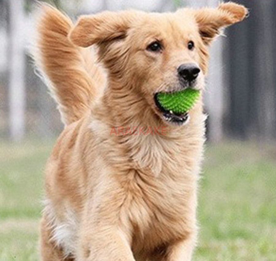 1PCS Toy ball squeaking dog ball TPR sound grinding training pointed prick pet ball cat dog toy training ball