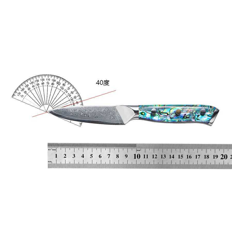 Damascus steel peeling knife professional chef knife Abalon shell handle Paring knife 3.5 67 layers Y241227