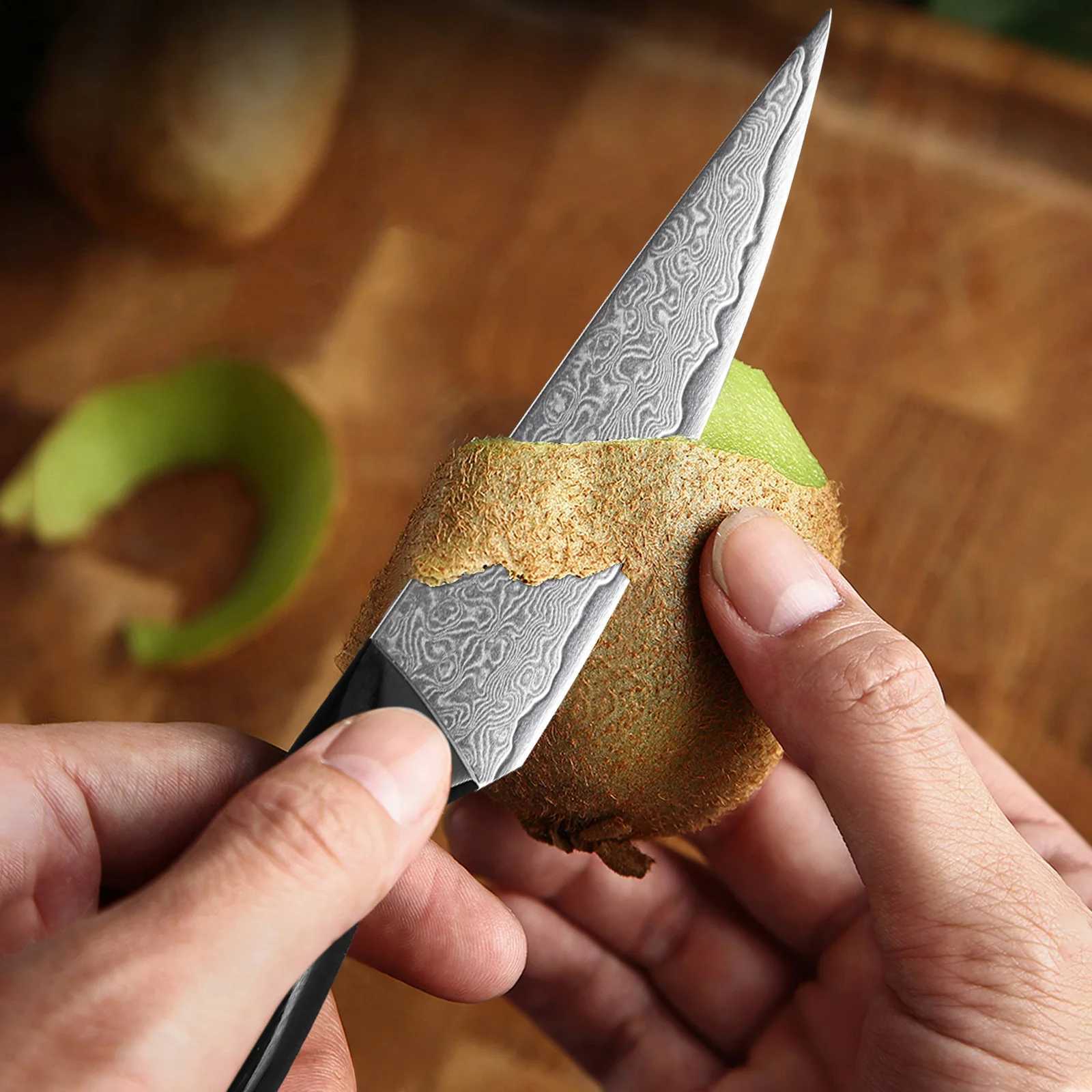3.5-inch Paring knife professional 67 layer Damascus steel kitchen chef knife super sharp peeling fruit knife Y241227