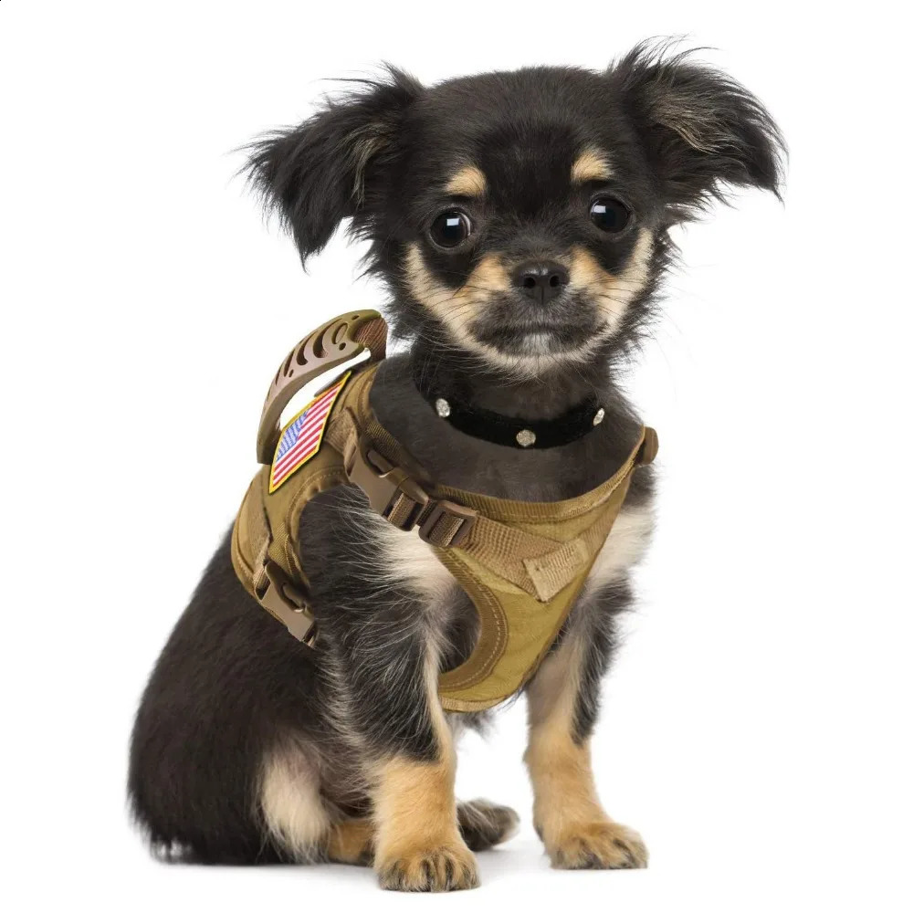 Cat Cloth Tactical Harness for Walking Escape Proof Walking Breathable Mesh Pet Clothes for Large Kitten Cats Small Dog 241225