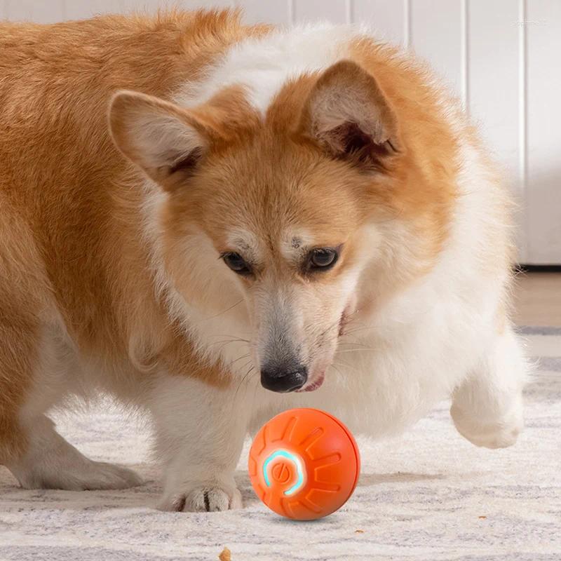 Update Automatic Moving Dog Toy Ball Smart USB Jumping Rotating Interactive Chew For Puppy Toys