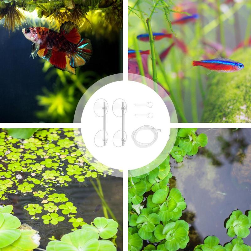 Floating Plant Corral Aquarium Floating Plants Coral Feeding Ring Improve Water Quality Aquarium Filter For Healthy Water