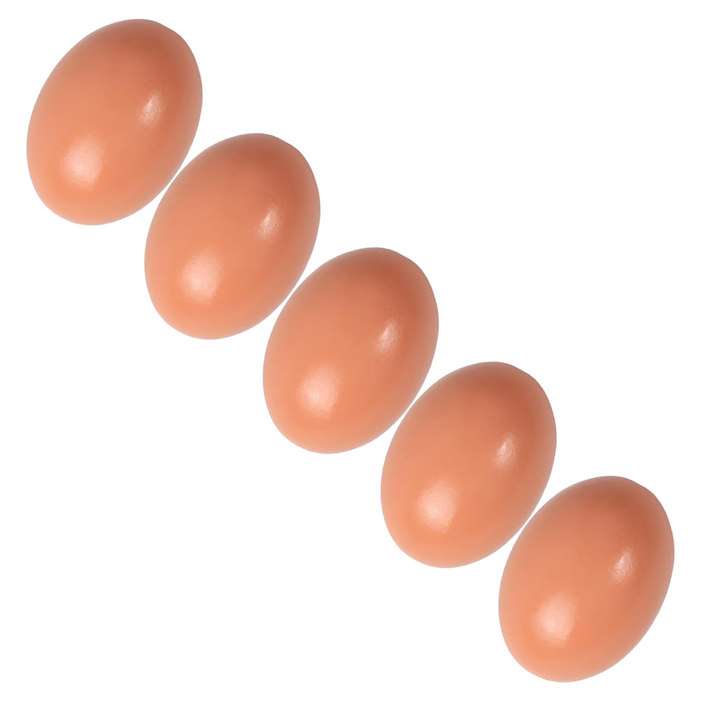 5 Pcs Egg Imitation Fake Eggs Vivid Chicken Coop Toy Wooden Decors Supplies Blank Pretend Child
