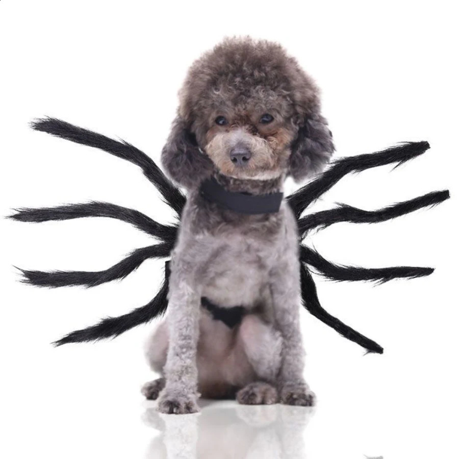 Halloween Spider Wings Dogs Cats Clothes Funny Medium and Large Dogs Cat Pet Clothes Decoration for Halloween Easter 241225