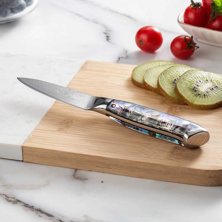 Damascus steel peeling knife professional chef knife Abalon shell handle Paring knife 3.5 67 layers Y241227