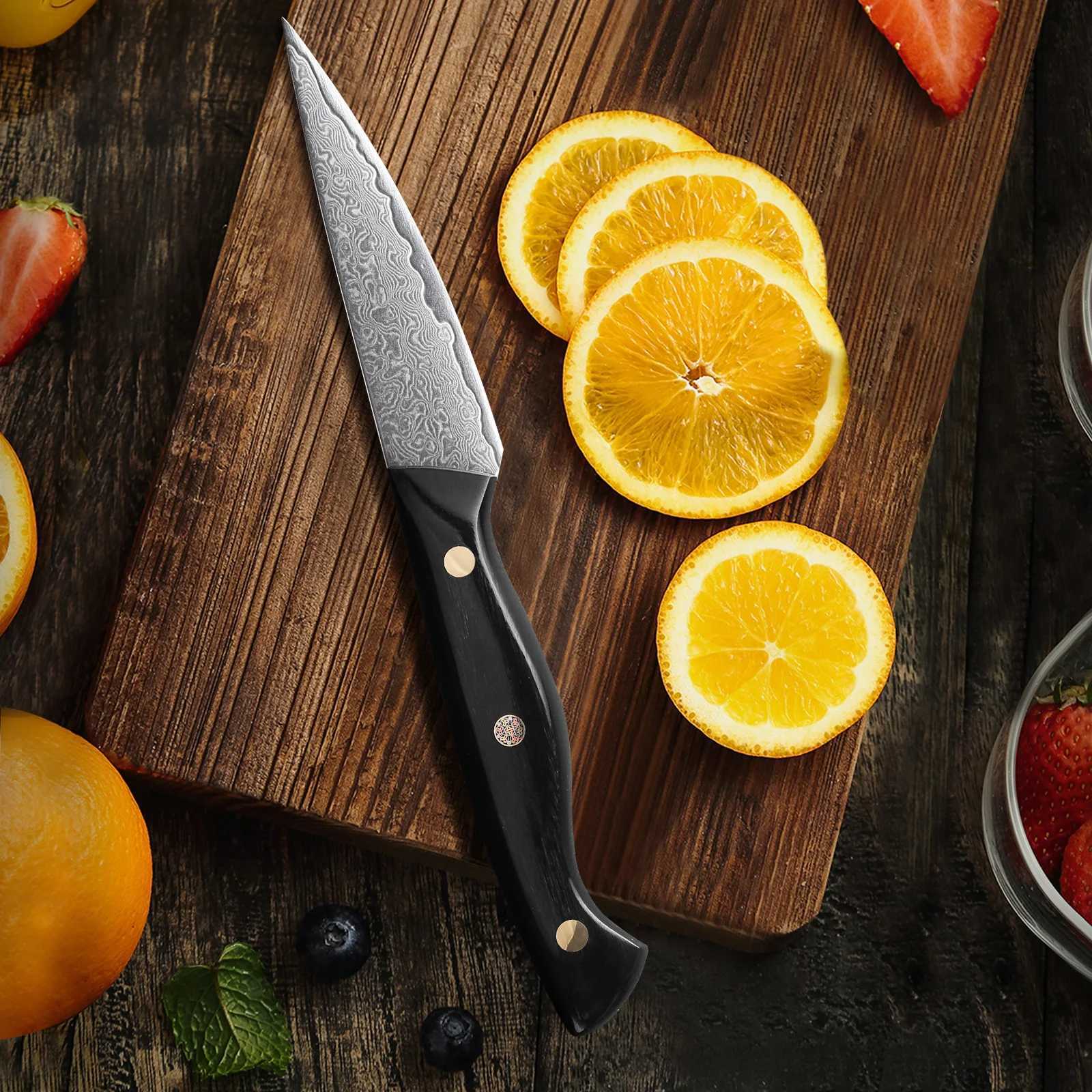 F. Young 3.5-inch Parisian knife professional Japanese 67 layer Damascus steel kitchen knife super sharp peeling fruit knife Y241227