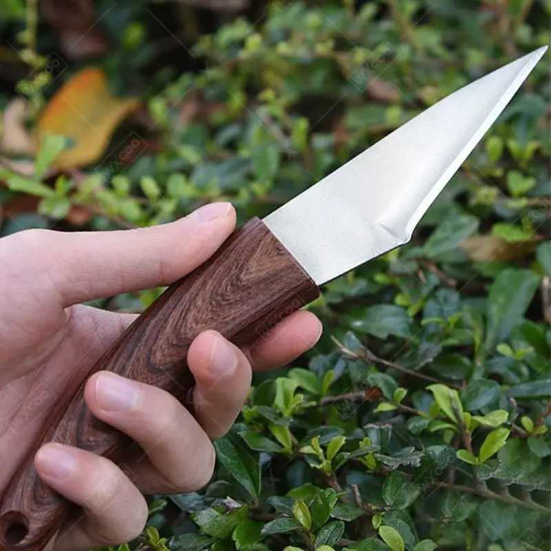 Fruit Knife Stainless Steel Professional Kitchen Polishing Knife Cutting Knife Special Cutting Knife Y241227