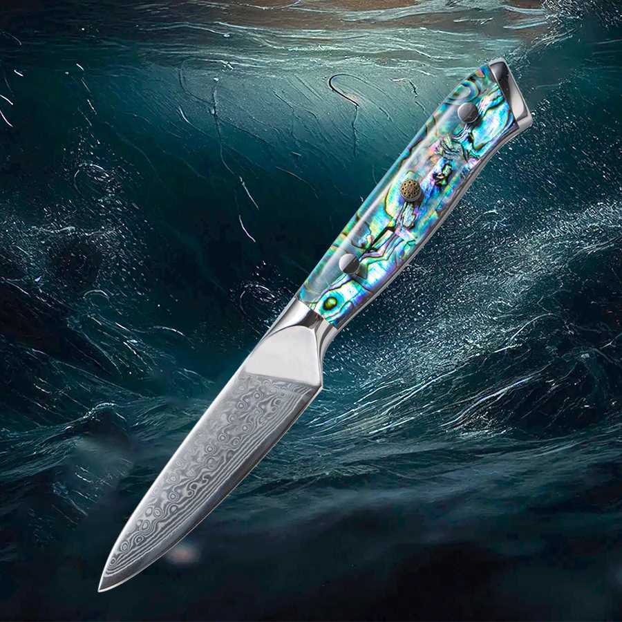 Damascus steel peeling knife professional chef knife Abalon shell handle Paring knife 3.5 67 layers Y241227