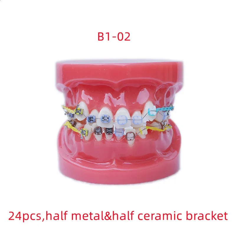 Dental Teaching Model Ortho Metal Bracket Metal Ceramic Dentistry Accessories Orthodontics False Teeth Modeling Tools 241226
