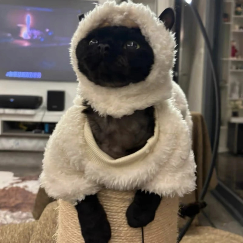 Sheep Cosplay Cat Clothing Fantasia Divertidly Cat Outfit Hoodies Pet Costume Chat Fancy Dress Sweater Pets Disguise Accessories 241225