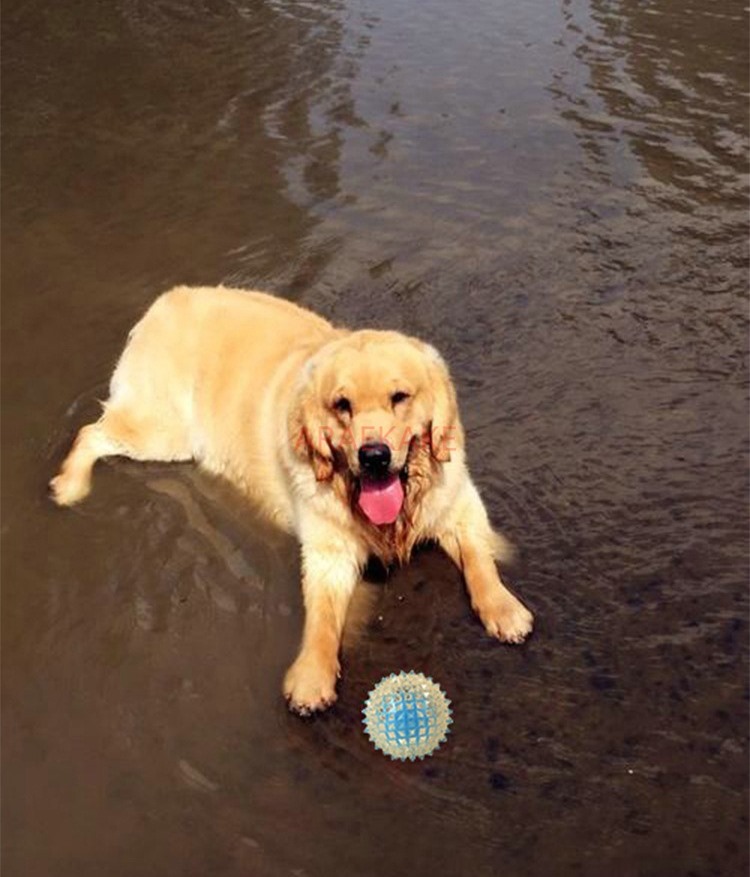 Pet Supplies Teeth Grinding Dog Toy TPE Anti Bite Interactive Training Anti Bite Dog Bite Play Flash Elastic Ball