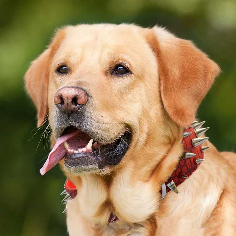 Adjustable Wide Dog Collar with Rivet PU Leather Medium Large Dog Collar Durable Necklace Adjustable Pet Necklace M241228