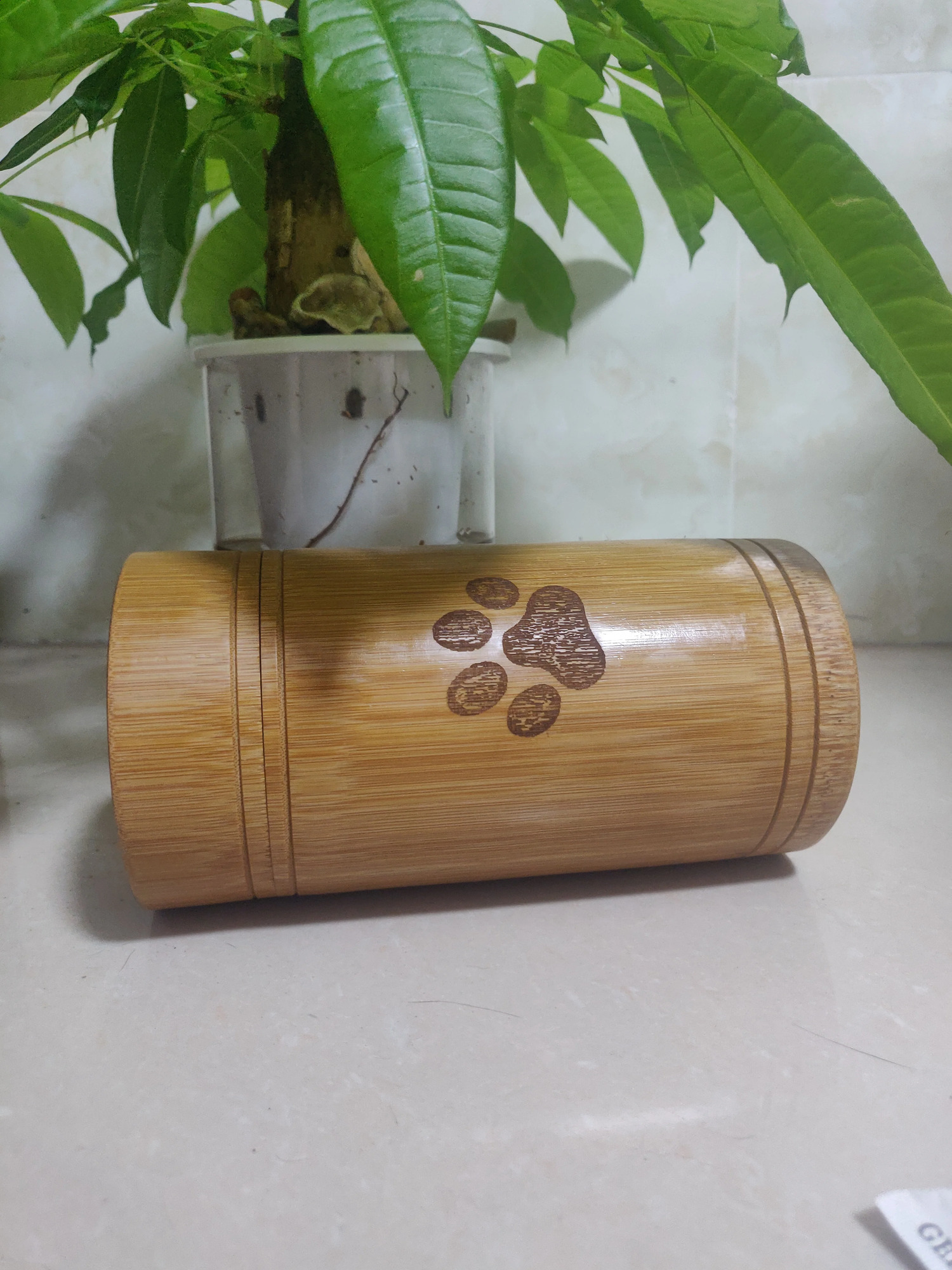 Carved Custom Bamboo Pet Urn Cremation Cute Cat Dog Paws S-L Size Puppy Kitten Ashe for Urn Funeral Supplies Pet Dog Accessories 241225