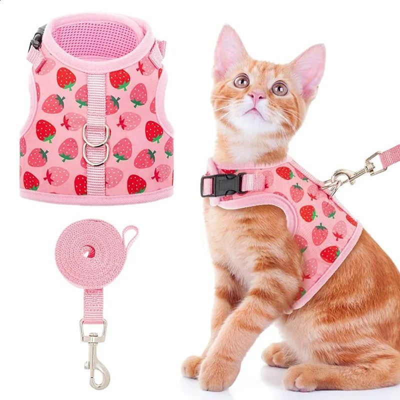 Breathable Cat Harness Collar Escape Proof Pet Harness and Leash Set Kitten Puppy Small Dogs Chest Vest No Pull Chihuahua 241227