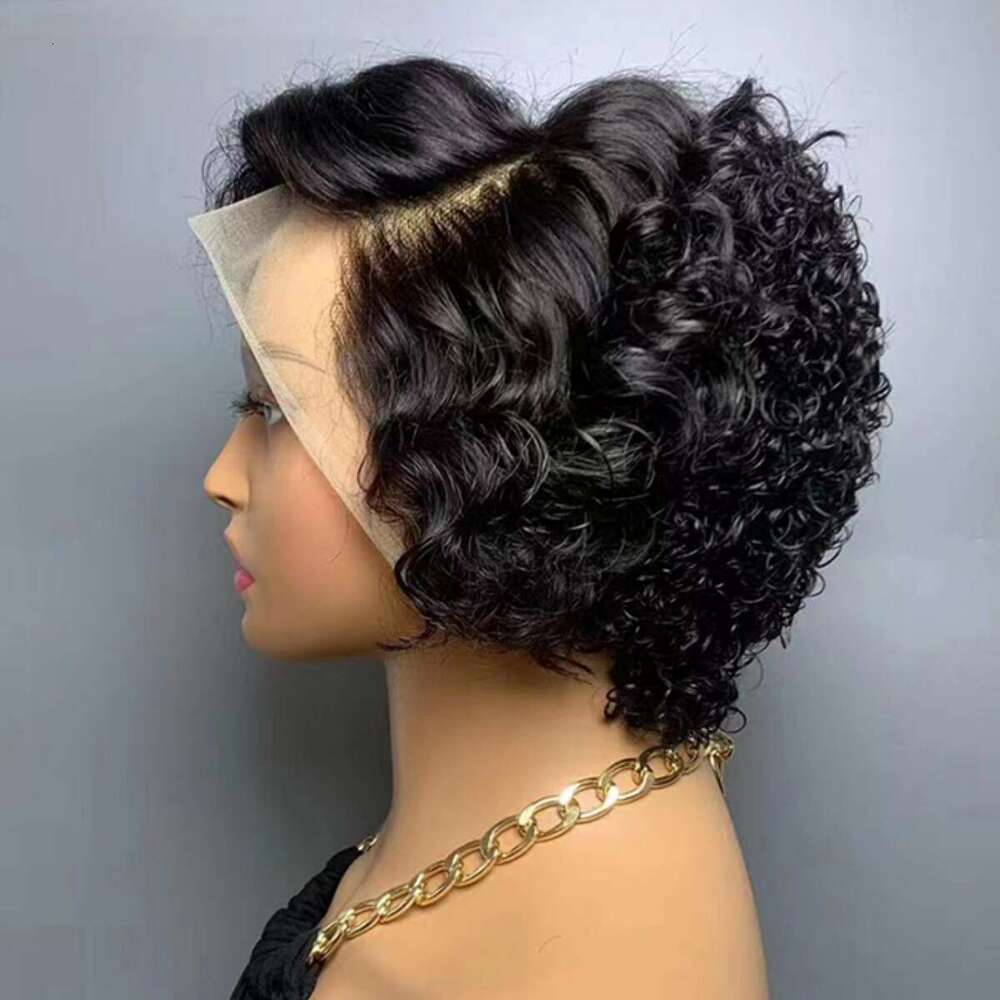 Human Hair Wig 13X4 HD Front Lace Kq2 Kq2