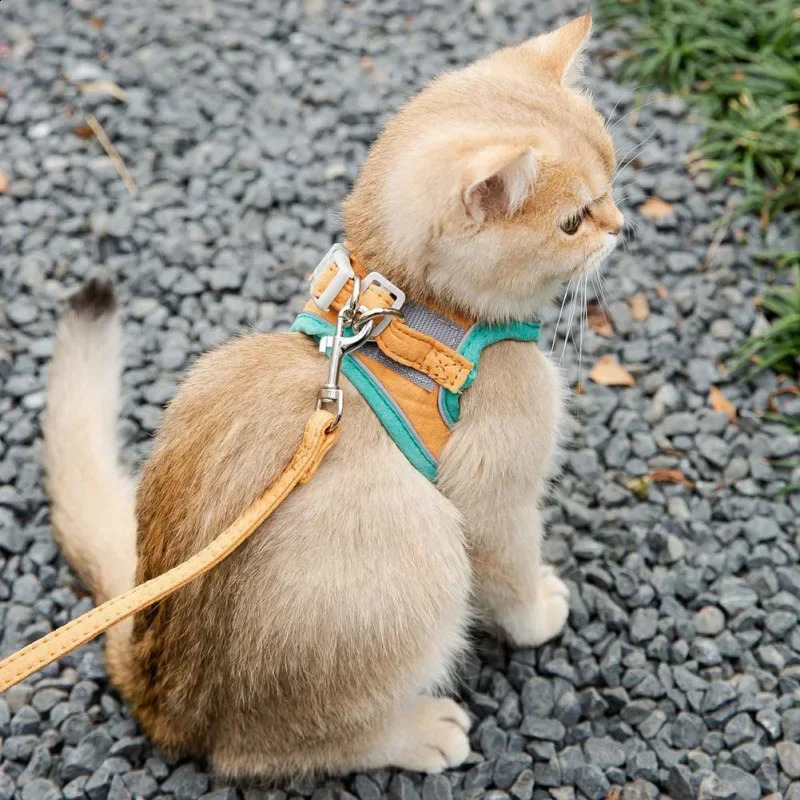 Cat Harness Leash Set for Chihuahua Accessories Dog Cat Vest Pug Leashes Walking Tools Walk Out Leads Products 241227