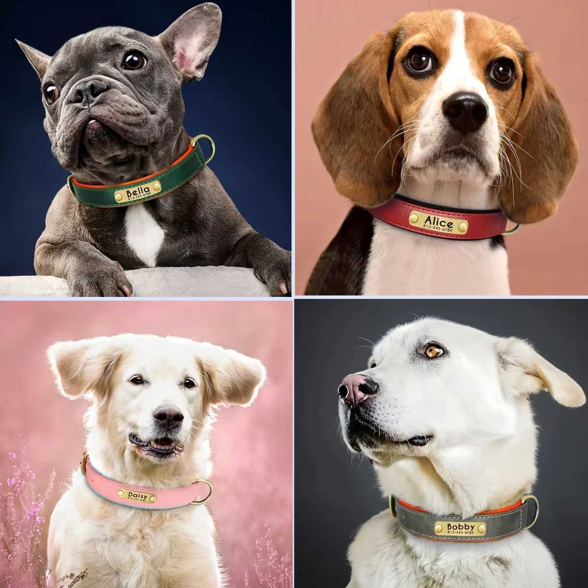 Customized dog collar with soft cushion leather pet collar suitable for small medium and large dogs no carved name board ID tag leak proof M250328