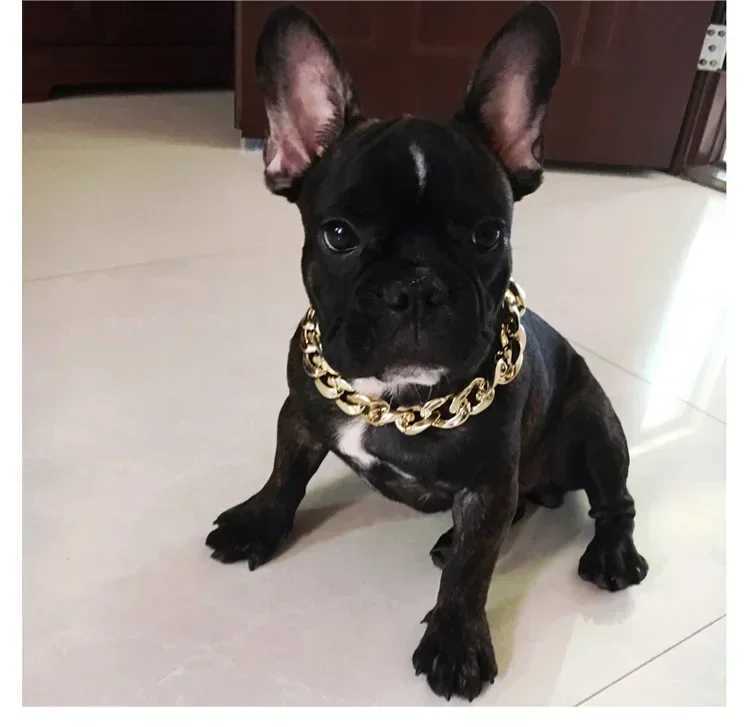 High Quality Fashionable shiny silver/gold dog collar snack chain metal style teddy bear French bulldog necklace pet dog accessories gift T241228