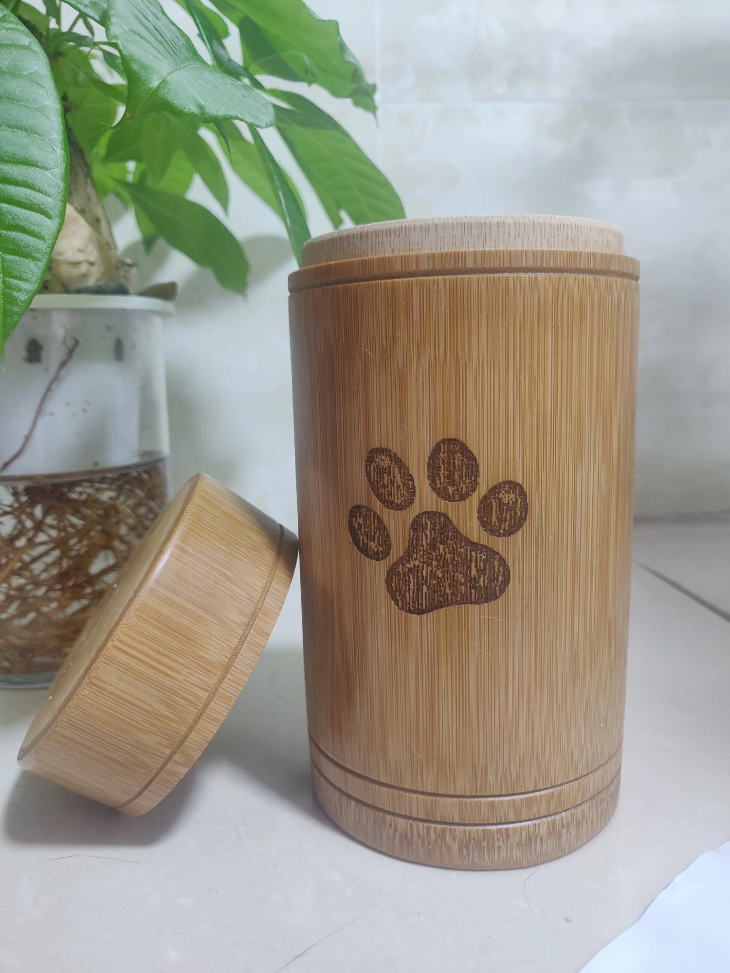 Carved Custom Bamboo Pet Urn Cremation Cute Cat Dog Paws S-L Size Puppy Kitten Ashe for Urn Funeral Supplies Pet Dog Accessories 241225