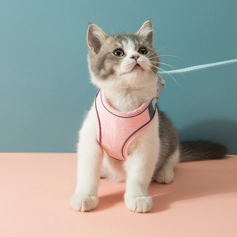 Cat Harness Leash Set Breathable Kitten Cats Harnesses With Reflective Strip Small Dog Puppy Harness Pet Chest Strap For Cat Dog 241227