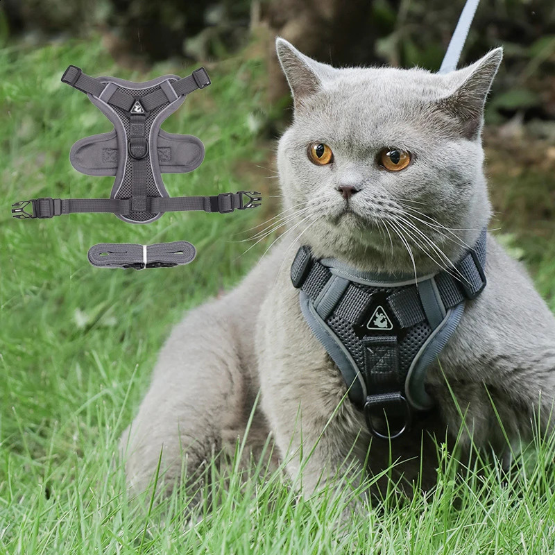 High Quality Fashion Cat Dog Harness and Leash Set Reflective Pet Harnesses Vest for Cats Small Dogs Pets Out Door Walk Supplies 241227