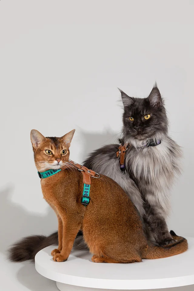 Cat Harnesses Suspenders Set Comfortable Reflective I-font Structure Anti-Break Adjustable Cat Leash 241227