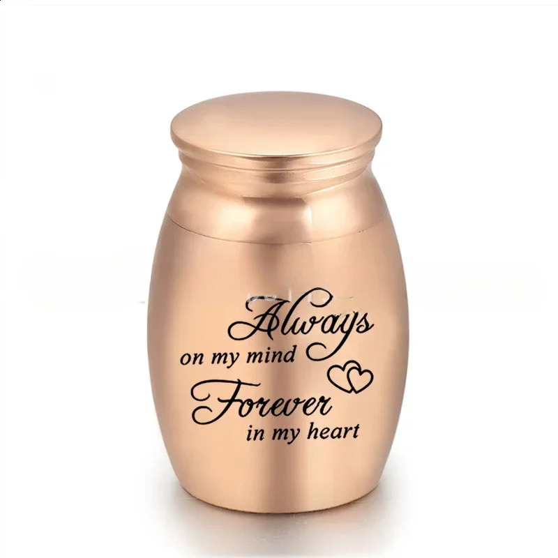 Engravable Mini Cremation Urns for Pet Cat Dog / Human Ashes Casket Funeral Loss of Love Stainless Steel Cremation Urn Jar 241225