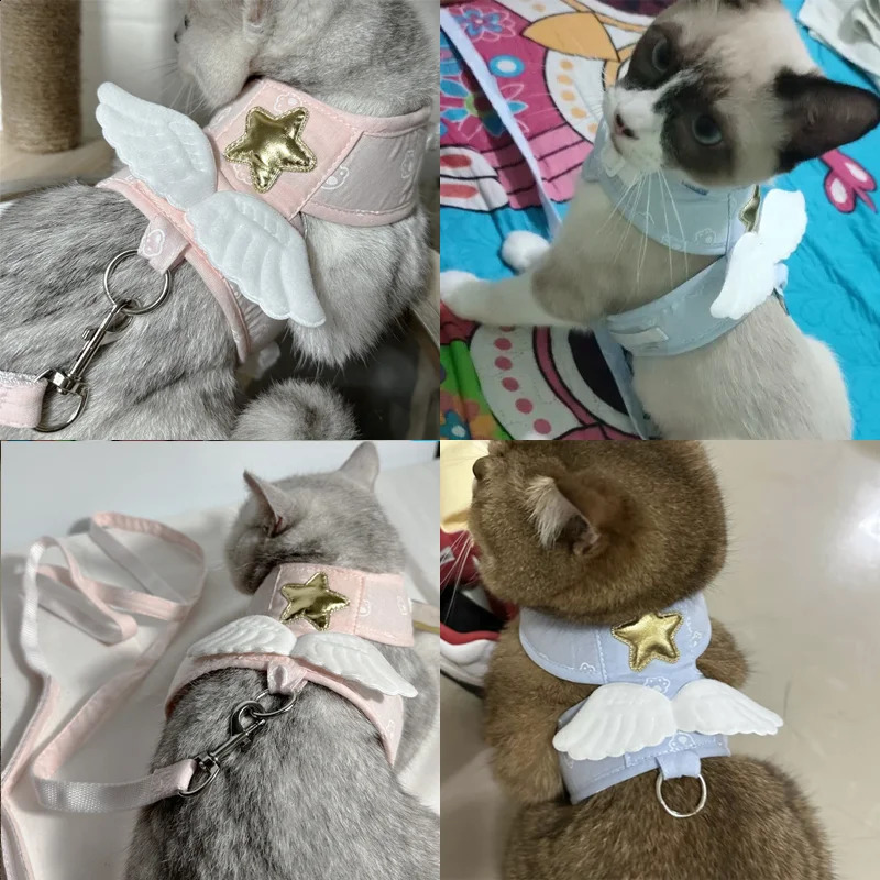 Pet Angel Wing Vest Harness with Leash Kawaii Personalized for Cat Dog Harness Necklace Accessories Cat Harness Leash 4 Season 241227