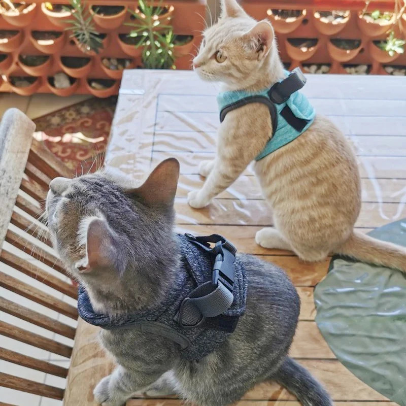 Adjustable Anti-Escape Small Cat Belt Kitten Harness Light Breathable Soft Pet Vest Wiring Harness Traction Belt Kitten Walking 241227