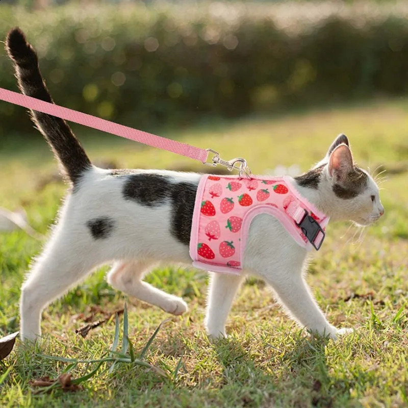 Breathable Cat Harness Collar Escape Proof Pet Harness and Leash Set Kitten Puppy Small Dogs Chest Vest No Pull Chihuahua 241227