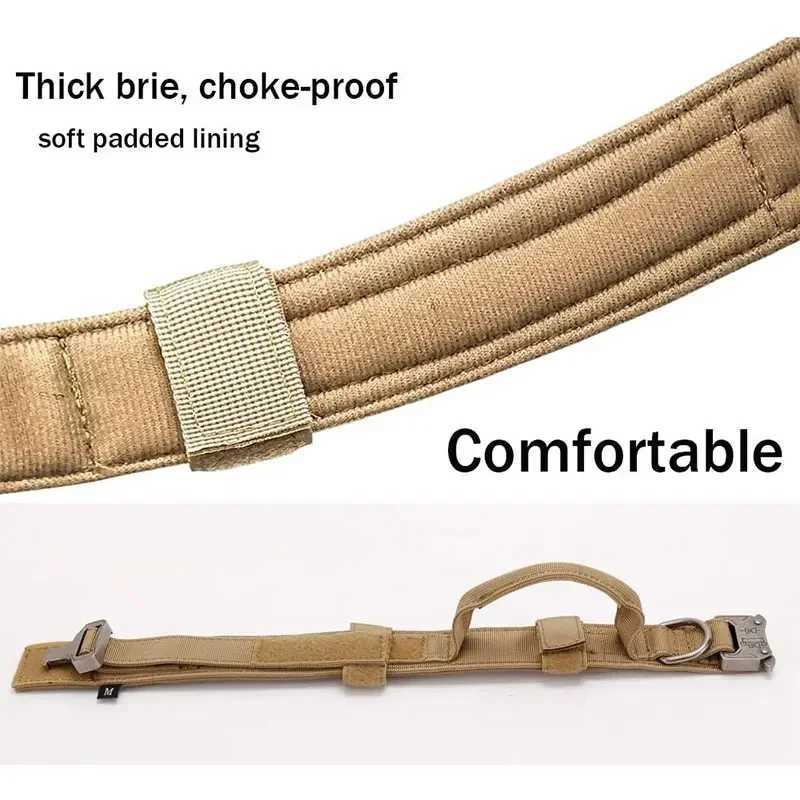 High Quality Outdoor sports style tactical dog collar suitable for medium to large dogs with traction ability can be used for dog training T241228