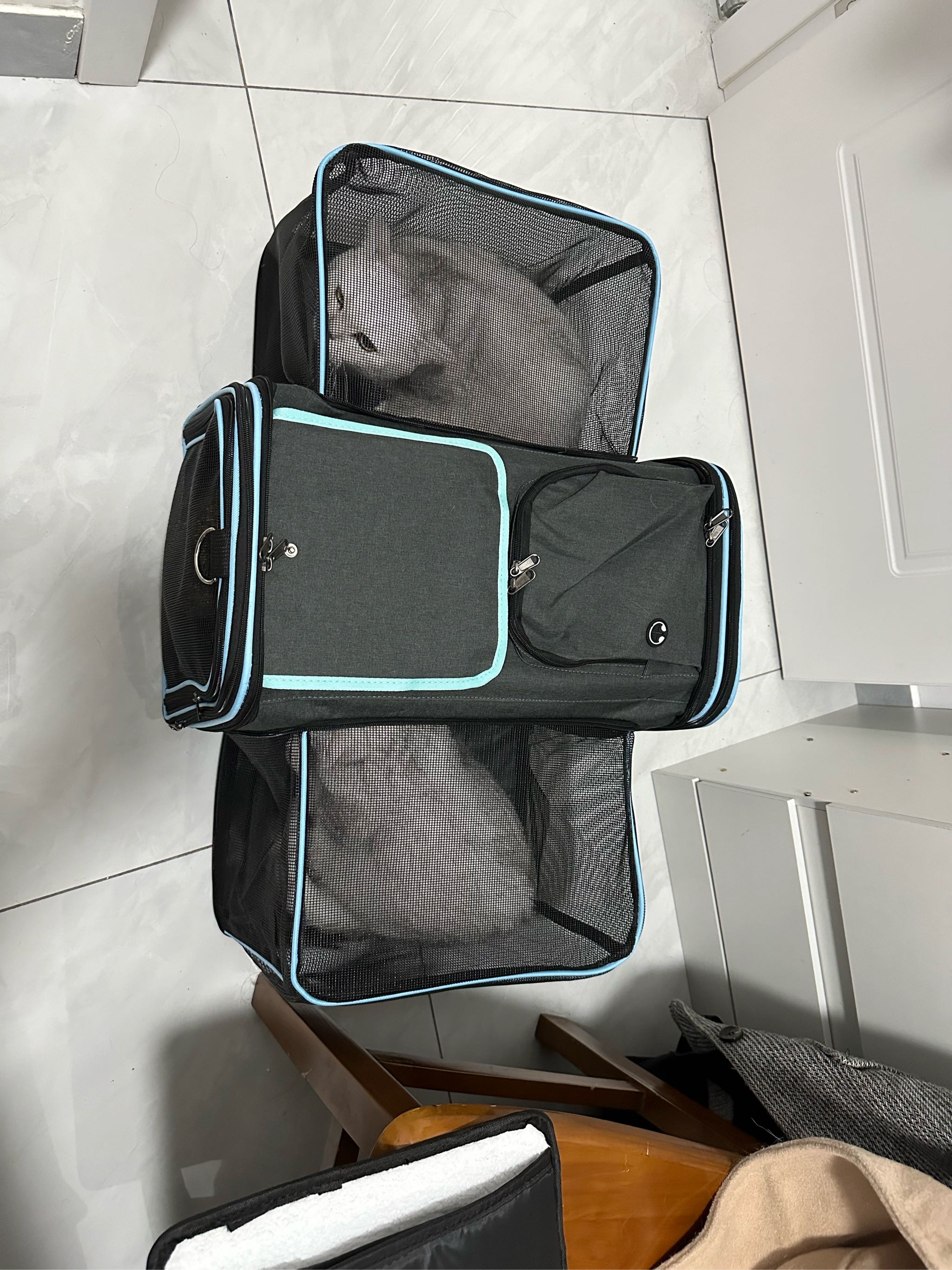 Side Expandable Large Cat Carrier with Litter Box for Car Travel, Extra Large Pet Carrier for 3 Cats , Soft Sided with Locking Zippers for Vet