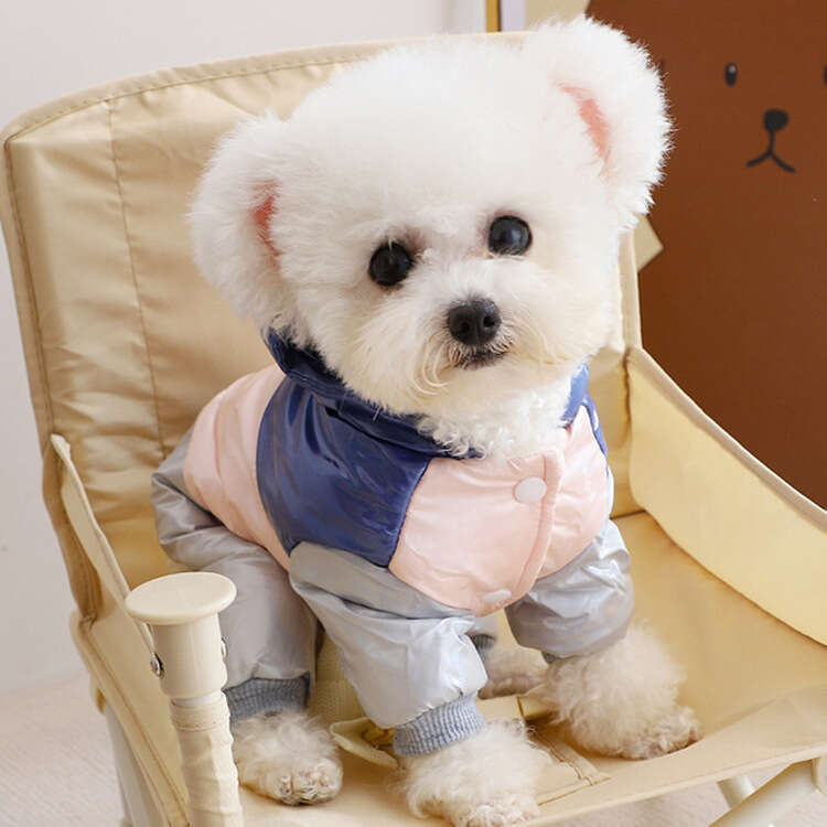 New Four Legged Small Dog Teddy Bear Winter Down Pet Cotton Clothes