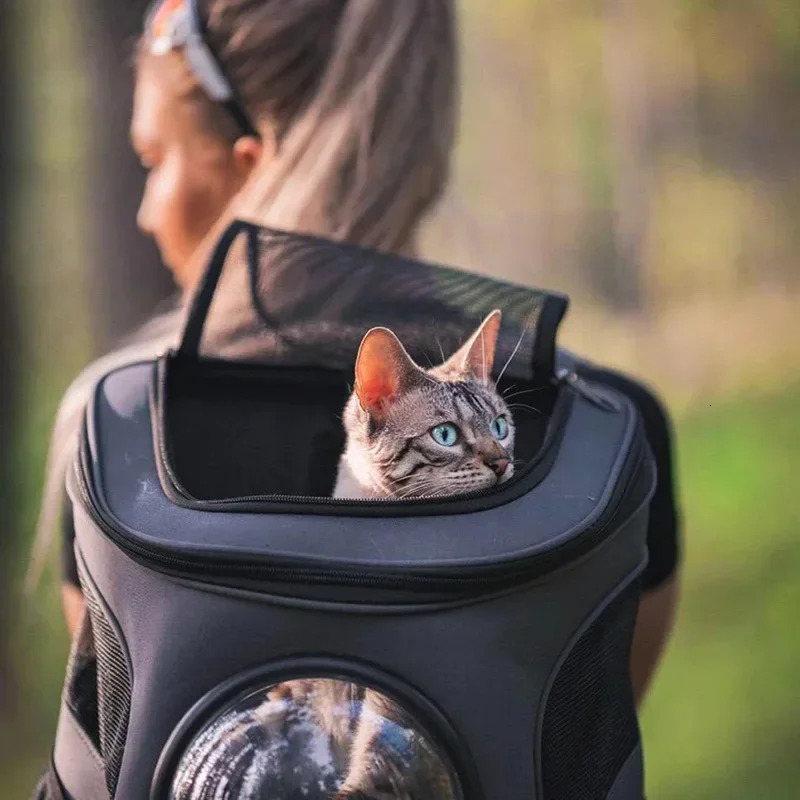 Fat Cat Carrier Denim Pet With Space Capsule Bubble Small Medium Cats Puppy Dog Backpack For Travel Hiking