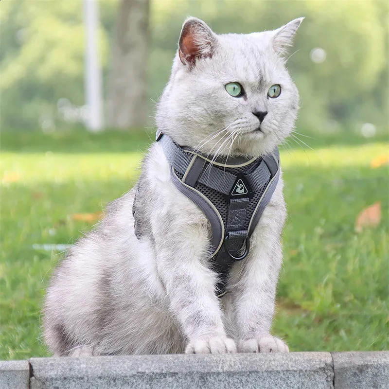 High Quality Fashion Cat Dog Harness and Leash Set Reflective Pet Harnesses Vest for Cats Small Dogs Pets Out Door Walk Supplies 241227