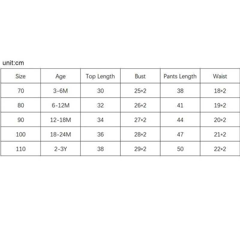 Newborn Baby Boy Pant Sets 2Pcs Outfits Autumn Clothes Long Sleeve Letter Pullover Tops and Pocket Pants Baby Items Clothing X2412281