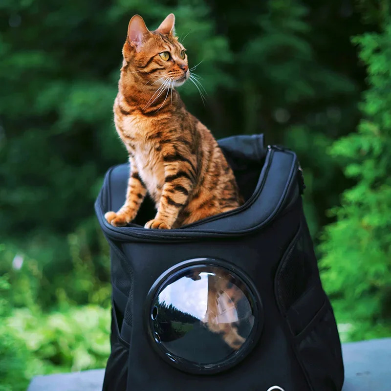 Fat Cat Carrier Denim Pet With Space Capsule Bubble Small Medium Cats Puppy Dog Backpack For Travel Hiking
