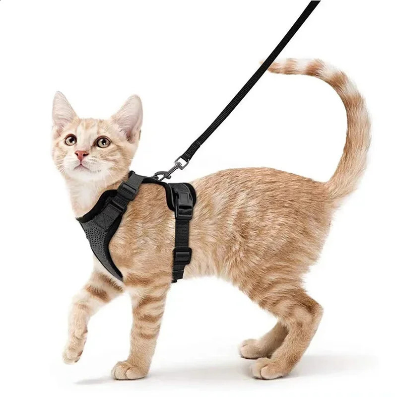 Cat Harness Lead Leash Set Walking Training Escape Proof Adjustable Reflective Pet Vest Harness Kitten Collar Pet Supplies 241227