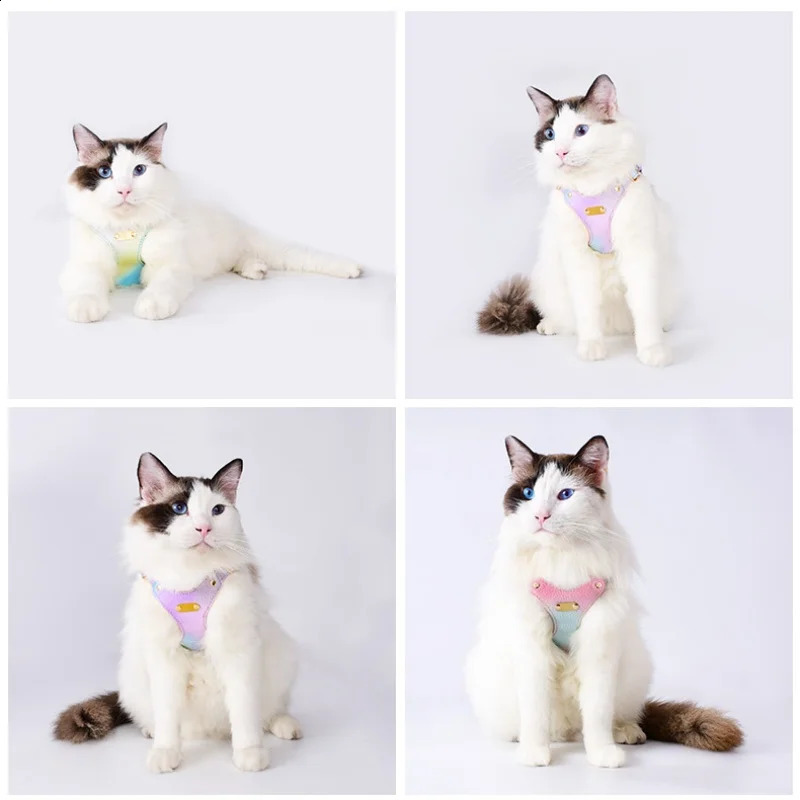 pet harness for cat and small dogs leather light weight 73g cat harness leash set no pull waterproof outdoor dog traction rope 241227