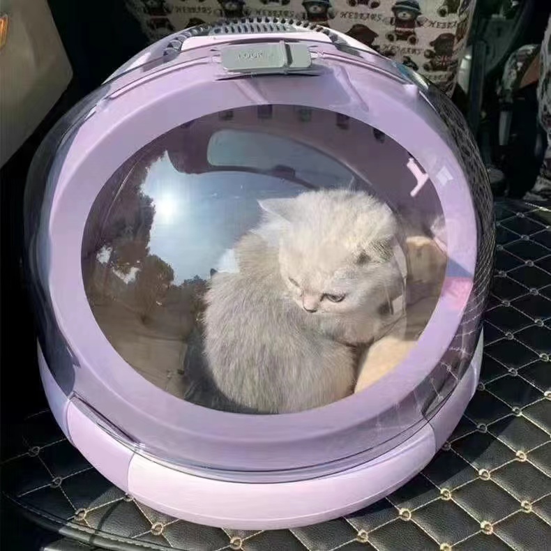 Pet outing space capsule cat multi-functional portable breathable cat bag Four seasons general pet aviation case