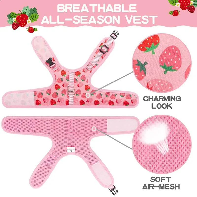 Breathable Cat Harness Collar Escape Proof Pet Harness and Leash Set Kitten Puppy Small Dogs Chest Vest No Pull Chihuahua 241227